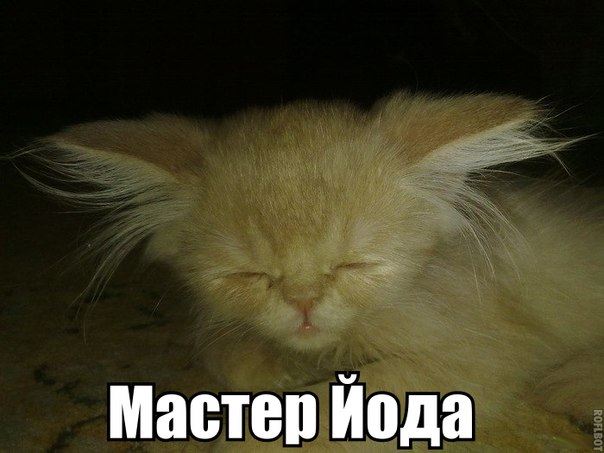 1604778_245453128965211_1891660165_n (604x453, 39Kb)