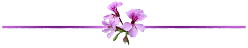 0_81097_fa675eb8_XL (510x100, 35Kb)