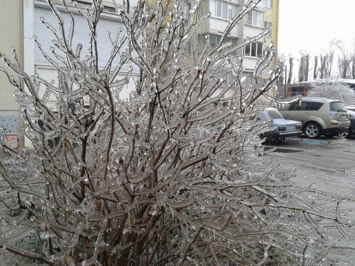 20140121_162758 (700x525, 476Kb)