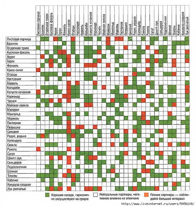 Благоприятное соседство овощных культур на огороде таблица с фото пошагово