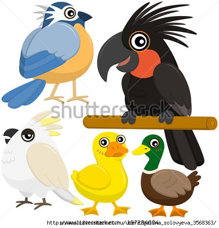 stock-vector-five-colorful-cute-birds-with-white-background-157294604 (450x470, 105Kb)