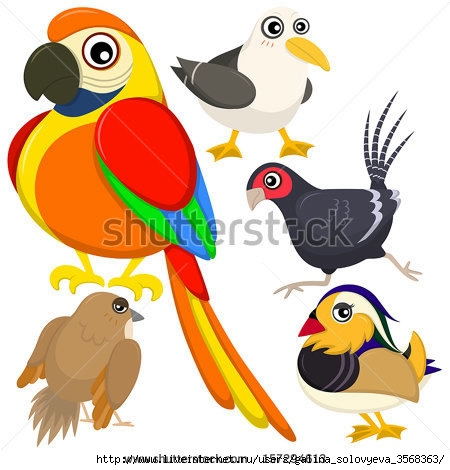 stock-vector-five-colorful-cute-birds-with-white-background-157294613 (450x470, 114Kb)