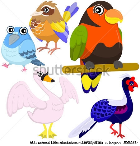 stock-vector-five-colorful-cute-birds-with-white-background-157294619 (450x470, 114Kb)