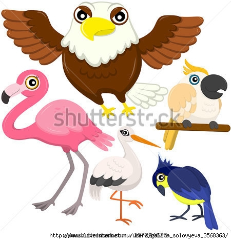 stock-vector-five-colorful-cute-birds-with-white-background-157294625 (450x470, 109Kb)