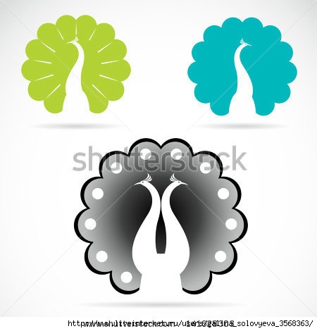 stock-vector-vector-image-of-peacock-on-a-white-background-141628303 (450x470, 68Kb)