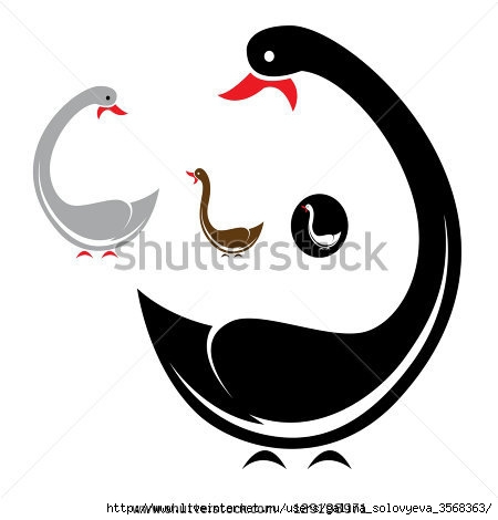 stock-vector-vector-image-of-swans-on-white-background-129198971 (450x470, 55Kb)