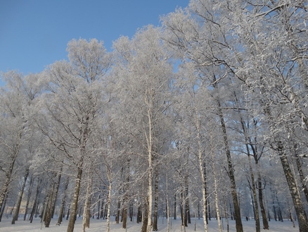 DSC01692_  (438x329, 187Kb)