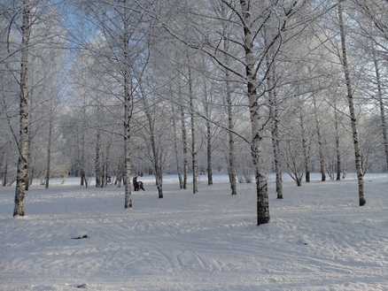 DSC01715_  (438x329, 181Kb)