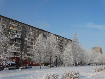 DSC01742_  (438x329, 148Kb)