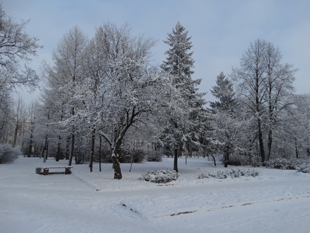 DSC01567 (438x329, 155Kb)