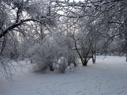 DSC01571 (438x329, 191Kb)