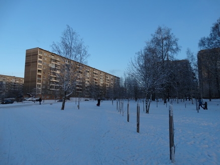 DSC01606 (438x329, 129Kb)