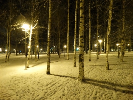 DSC01621 (438x329, 168Kb)