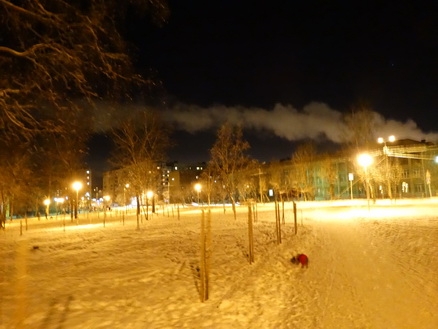 DSC01628 (438x329, 138Kb)