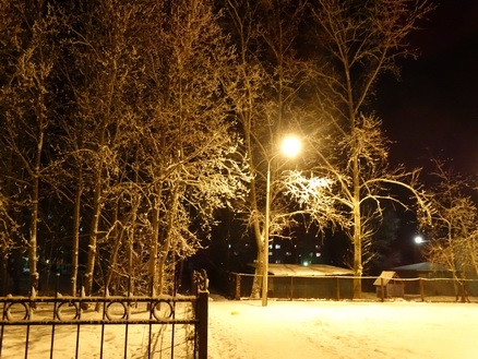 DSC01649 (438x329, 206Kb)