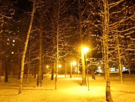 DSC01658 (438x329, 199Kb)