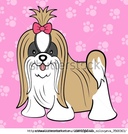 stock-photo-long-coat-shih-tzu-156006542 (450x470, 114Kb)