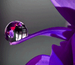 --12 (150x130, 36Kb)