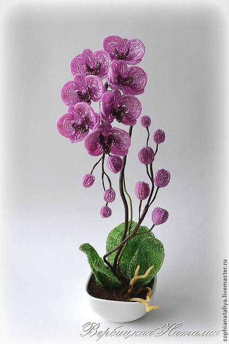 Орхидея из бисера. Мастер-класс Вербицкой Наталии (2)