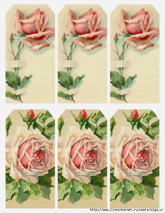 4964063_Rose_and_buds__6_tags_printable__lilacnlavender (541x700, 311Kb)
