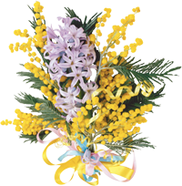 mimoza_i_giacinti (150x150, 86Kb)