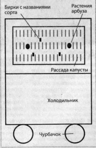 171-196x300 (196x300, 19Kb)