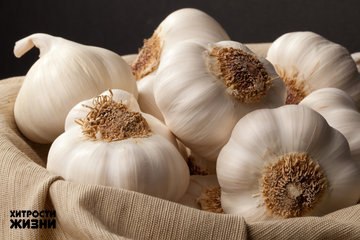 original (1) (360x240, 21Kb)
