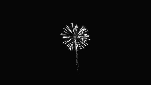 firewoks (4) (500x281, 385Kb)