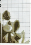  290460_afe68_54306925_u24c78 (479x700, 286Kb)