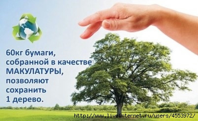 Сколько надо макулатуры чтобы сохранить одно дерево пункт приема макулатуры в таганроге цена