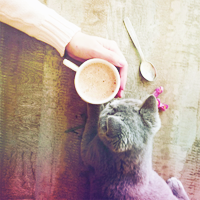 coffee (200x200, 83Kb)