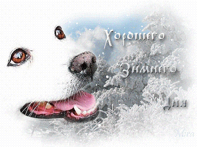 хор.зим 2 (650x485, 76Kb)
