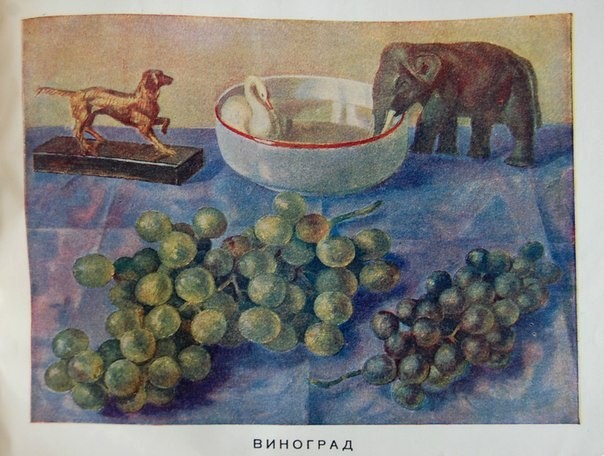 3727985_PetrovVodkin_Frykti_i_yagodi2 (604x456, 86Kb)