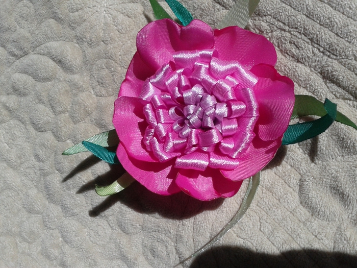 4815666_Foto0011 (700x525, 328Kb)