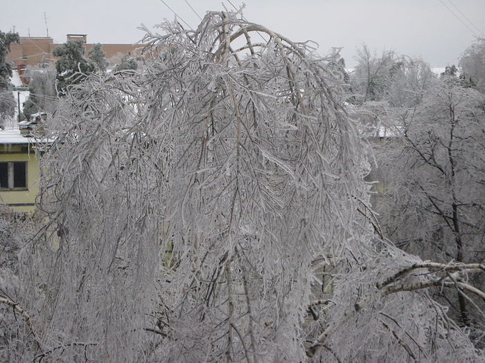800px-Ice_storm_in_moscow (700x525, 98Kb)