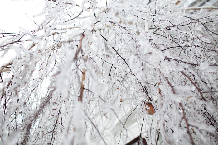 489906_original (700x466, 141Kb)