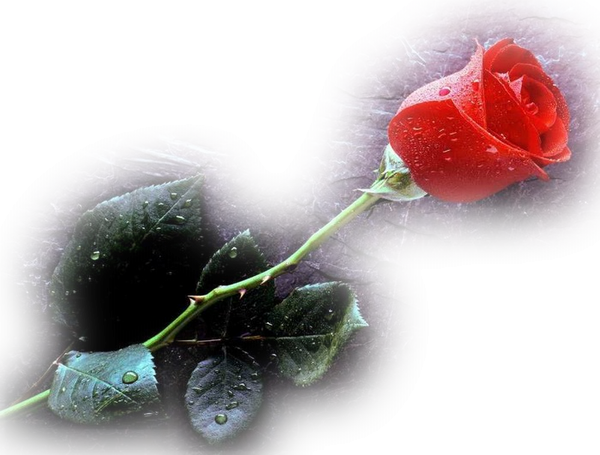 6940623 (600x455, 621Kb)