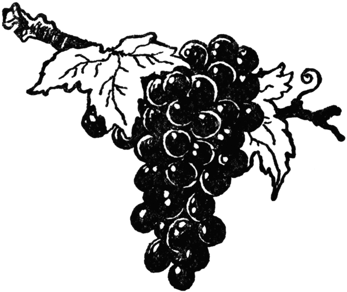 63505_grapes-red_lg (700x589, 73Kb)