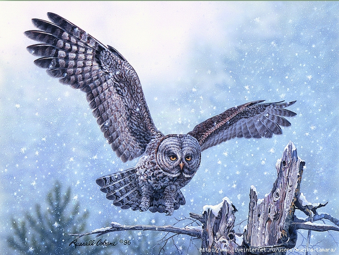 SNOWY LANDING 12X16 (700x525, 408Kb)