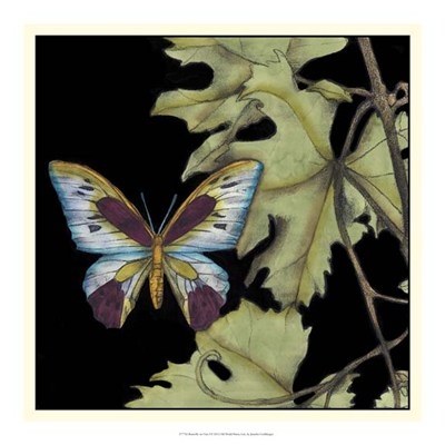 butterfly-on-vine-i-by-jennifer-goldberger-724837 (400x400, 77Kb)