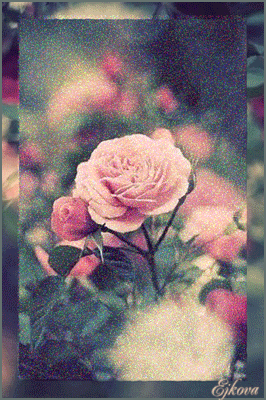 0_9fc27_b4101f82_XL (266x400, 305Kb)