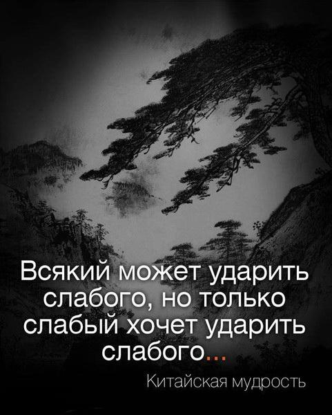 mudrye_vyskazyvaniya_1499780 (481x600, 132Kb)