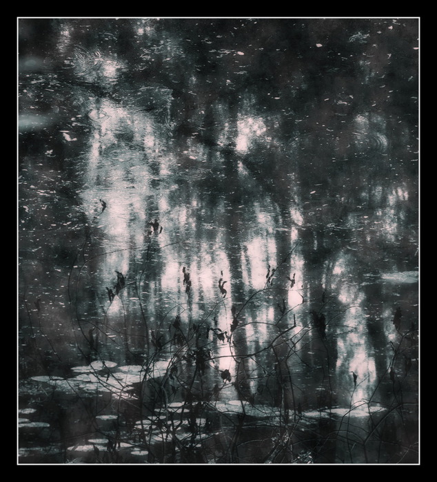 Park_XXI (634x700, 165Kb)