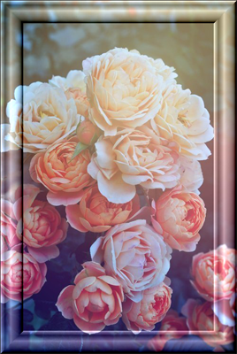 0_9fc28_965ad0bd_XL (268x400, 202Kb)