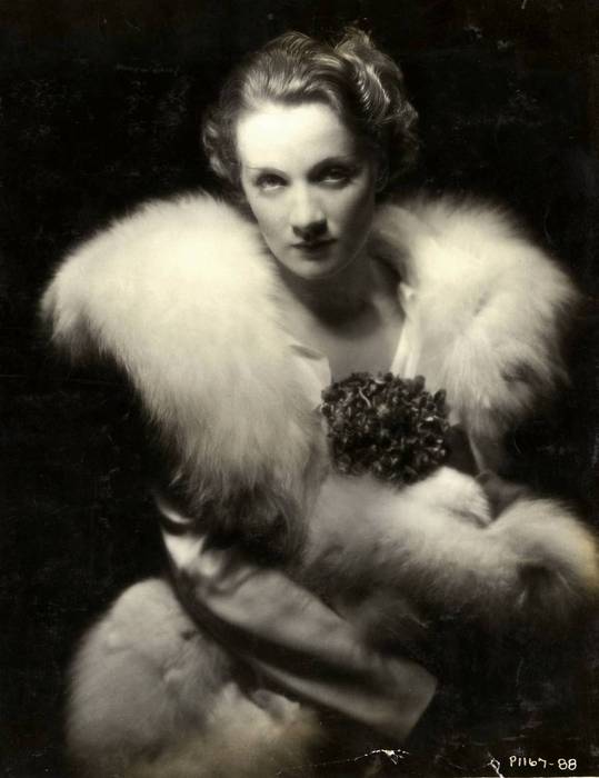 marlene_dietrich (539x700, 32Kb)