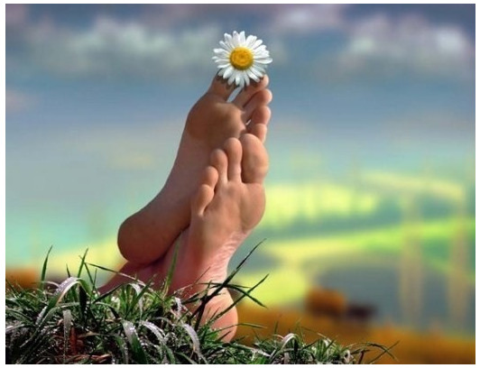 getImage (532x408, 54Kb)