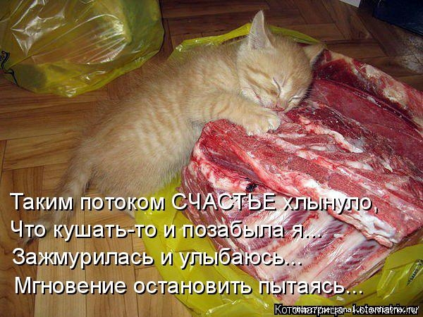 http://img1.liveinternet.ru/images/attach/c/10/110/123/110123989_large_kotomatritsa_Ui.jpg