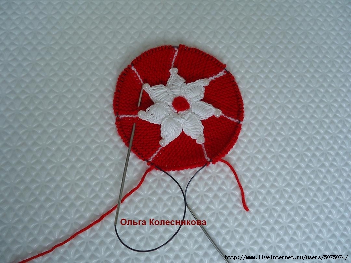 DSC00695 (700x525, 250Kb)