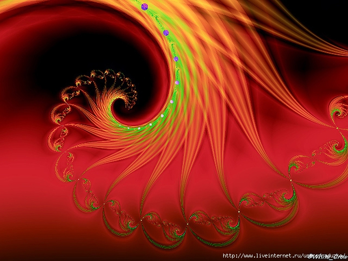 firebird_6 (700x525, 252Kb)