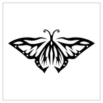  butterfly stencil (33) (700x700, 82Kb)